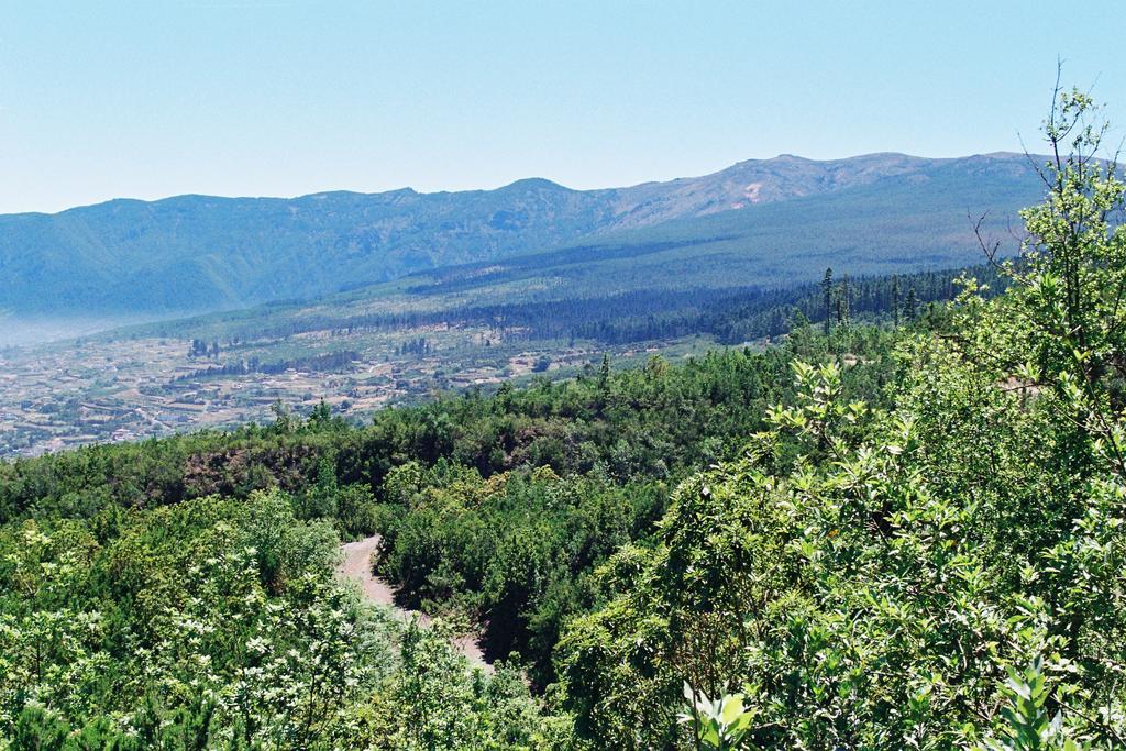 הוילה לוס ריאלחוס Rural Las Llanadas חדר תמונה