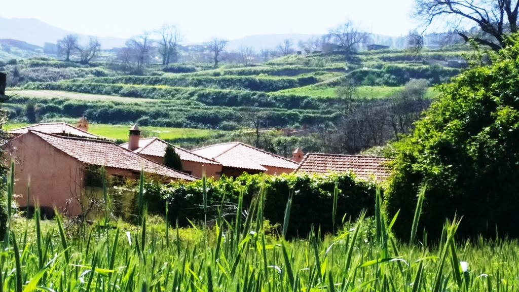 הוילה לוס ריאלחוס Rural Las Llanadas מראה חיצוני תמונה